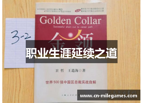 职业生涯延续之道