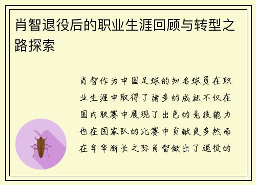 肖智退役后的职业生涯回顾与转型之路探索