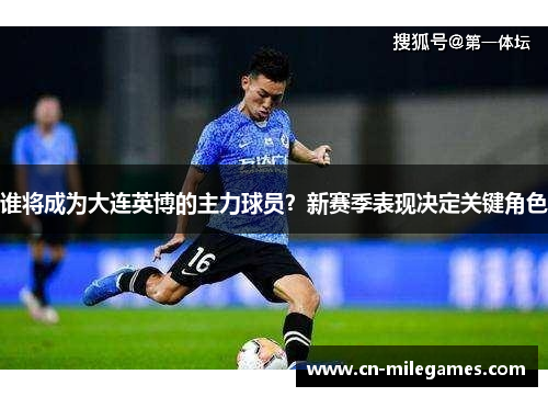 谁将成为大连英博的主力球员？新赛季表现决定关键角色