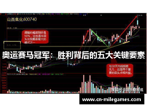 奥运赛马冠军：胜利背后的五大关键要素