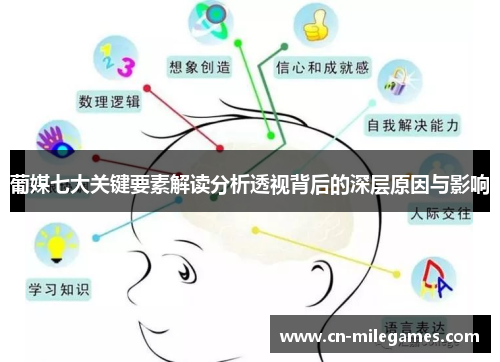 葡媒七大关键要素解读分析透视背后的深层原因与影响