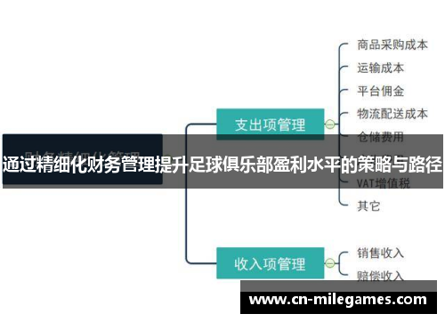 通过精细化财务管理提升足球俱乐部盈利水平的策略与路径